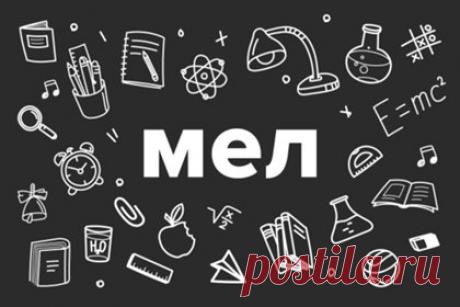 НЕТ БЕЗДАРНЫХ ДЕТЕЙ | Мел