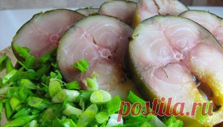 КАК ОЧЕНЬ ВКУСНО ЗАСОЛИТЬ СКУМБРИЮ