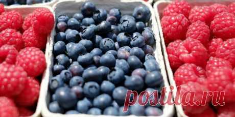 5 продуктов для здоровья суставов — Домашний уют