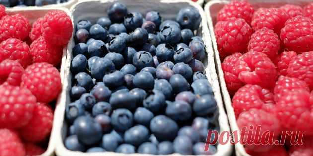 5 продуктов для здоровья суставов — Домашний уют