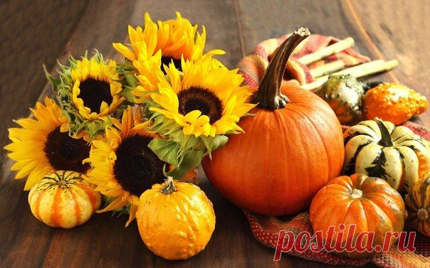 Чем полезна тыква для печени и как ее готовить?