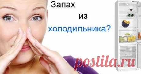 Как убрать запах из холодильника