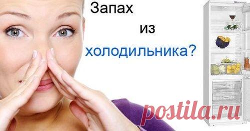 Как убрать запах из холодильника