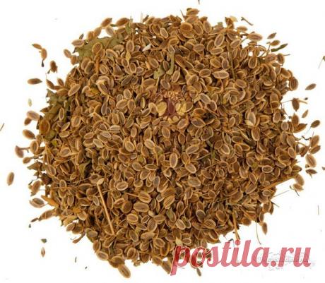 СКОРАЯ ПОМОЩЬ ПРИ ПАНКРЕАТИТЕ