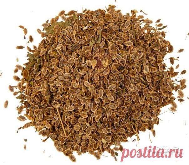 СКОРАЯ ПОМОЩЬ ПРИ ПАНКРЕАТИТЕ