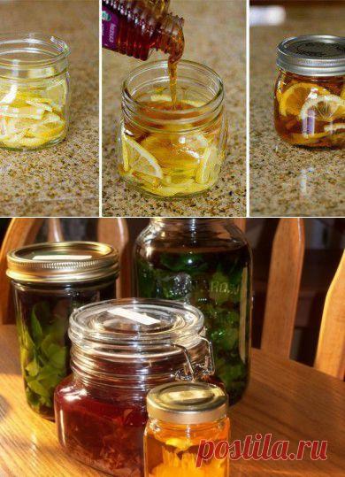 настойки, капли, мази, кремы, масла | Записи в рубрике настойки, капли, мази, кремы, масла |