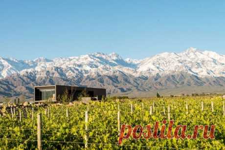 Модный дом винодела в Аргентине