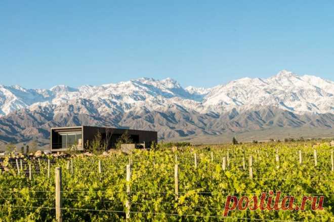 Модный дом винодела в Аргентине