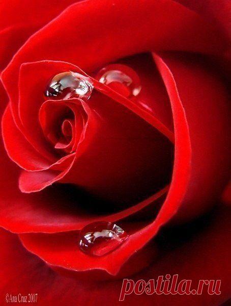 Фотографии на стене сообщества | 32 803 фотографии | ВКонтакте