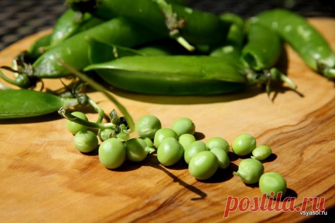 Муж принес с рынка целое ведро сахарного гороха… Подруга подсказала, что с ним делать!