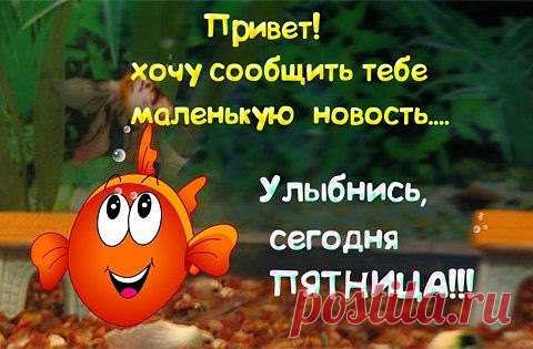 Дорогой друг! Наконец-то мы дожили до этого знаменательного дня! Наконец-то дождались освобождения от ненавистных заданий, отчетов, планерок! Наконец можно не вздрагивать при слове «начальник», не бояться разговаривать часами по мобильнику, а главное – не заводить вечером с ненавистью будильник. Наступила пятница, ура! Осталось поднапрячься и достойно закончить рабочий день, а вместе с ним и всю рабочую неделю. А дальше – наслаждаться ощущением полной свободы. Можно с полным правом валяться и…