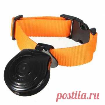 Цифровой Pet Воротник Cam камера Video Recorder Monitor - 1 486 руб.