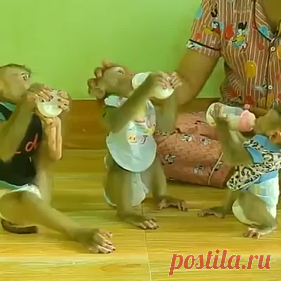 Нетерпеливая малышня