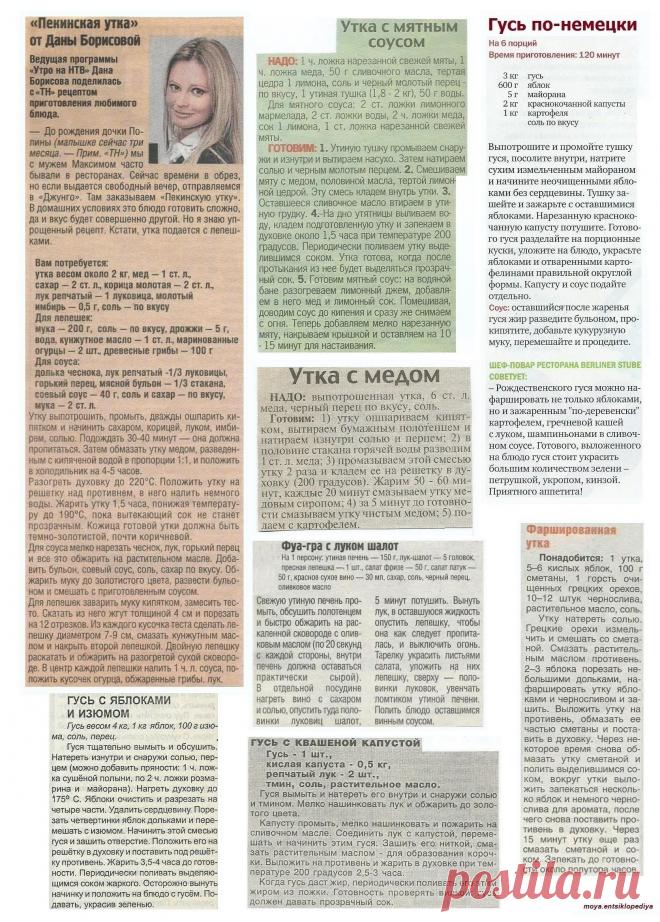 Пекинская утка. Гусь по-немецки. Гусь с яблоками. Фуа-гра с луком шалот. Утка с медом. Утка с мятным соусом. Фаршированная утка.