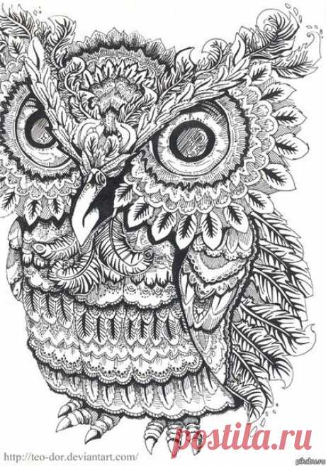 Совушки для контурной росписи | Золотые Руки