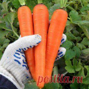 (1) Одноклассники