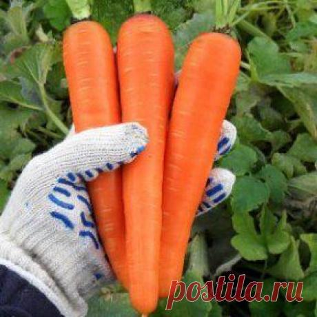 (1) Одноклассники