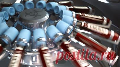 У главы Минюста Конго Мутамбы обнаружили яд в организме. Глава Минюста Конго Констан Мутамба сдал положительный анализ на наличие яда в организме на фоне сообщений о возможном отравлении, пишет портал Actualité со ссылкой на окружение чиновника. Читать далее