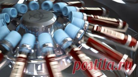 У главы Минюста Конго Мутамбы обнаружили яд в организме. Глава Минюста Конго Констан Мутамба сдал положительный анализ на наличие яда в организме на фоне сообщений о возможном отравлении, пишет портал Actualité со ссылкой на окружение чиновника. Читать далее