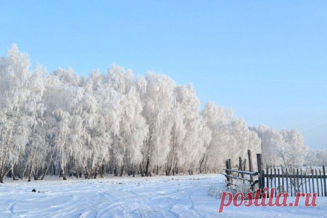 Пейзажи села Серебряное. 
Утро 12 ноября