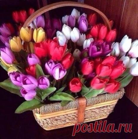 Пусть этот обычный день станет добрым и радостным. Принесет всем хорошее настроение и сознание того, что жизнь прекрасна..., а ведь
она.....ПРЕКРАСНА!...
