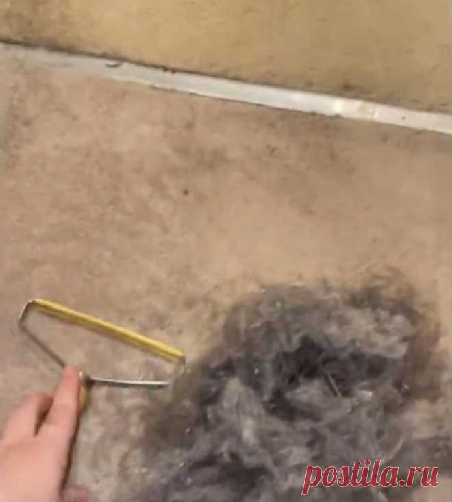 Глубокая чистка ковров: недорогой инструмент для одежды собрал кучу мусора после пылесоса