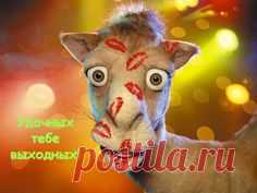 Pinterest: инструмент для поиска и хранения интересных идей