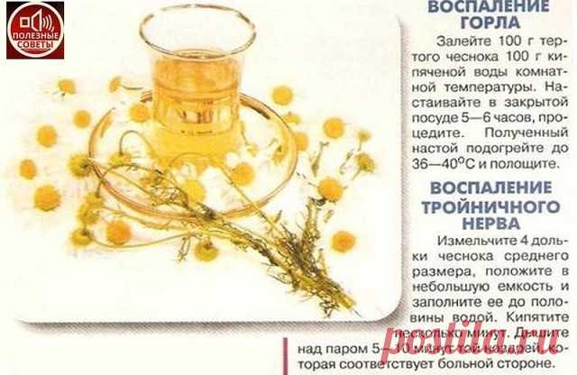 (2) Одноклассники