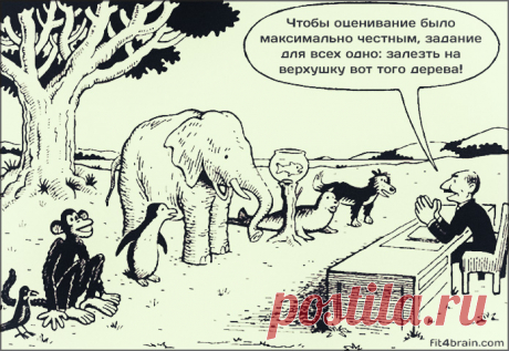 Современная система обучения одним изображением; Фитнес для мозга