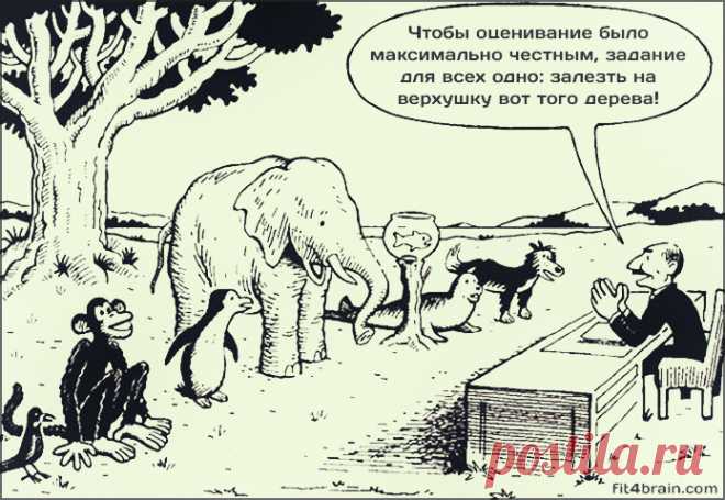Современная система обучения одним изображением; Фитнес для мозга