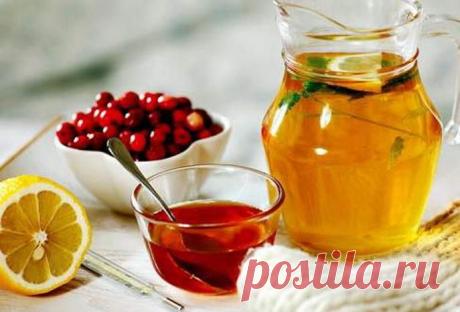 Растения для укрепления иммунной системы