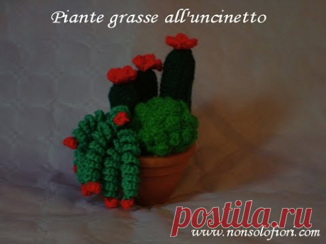 Rametto spirale all'uncinetto per piante grasse