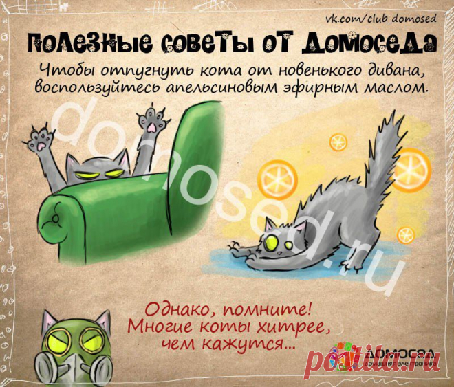 Полезные советы от Домоседа | ДОМАШНИЙ ОЧАГ