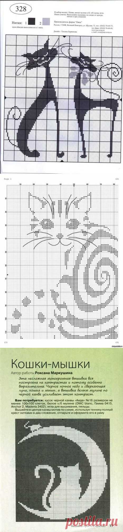 В/К. КОТЫ