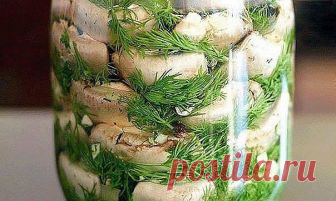 Малосольные шампиньоны на скорую руку — мировой рецептик!