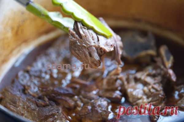 заготовки на зиму | Записи с меткой заготовки на зиму | Дневник СТЯПУХА