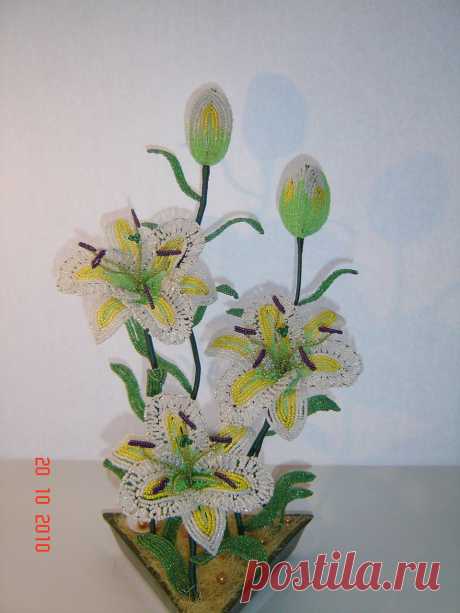 biser.info_52042_lilii_1299446995.jpg (960×1280)