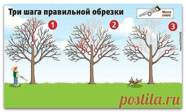 1 непрочитанный чат