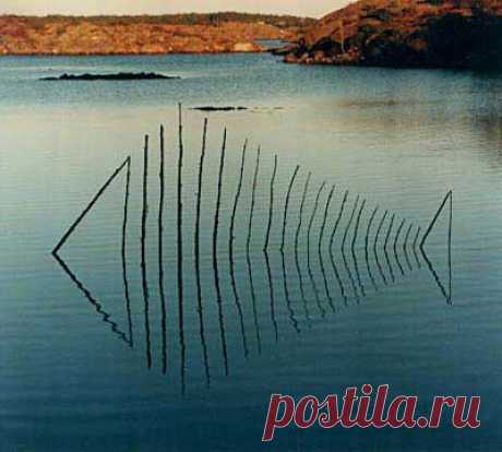 Выбор земельного проекта