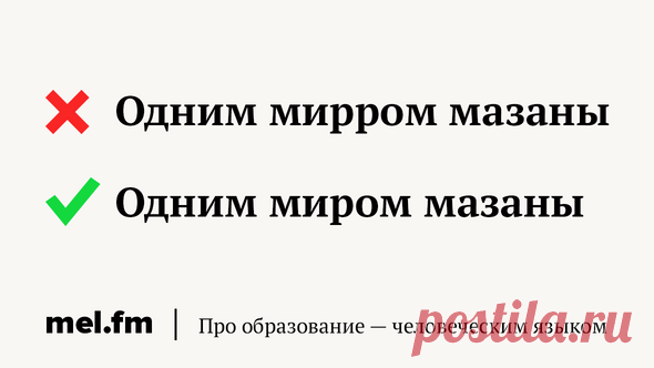 Где у чёрта кулички? 7 фразеологизмов, которые провоцируют вас на ошибки | Мел