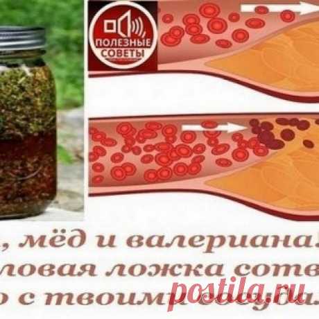 Спортсменка написала письмо незнакомке с которой бегает по утрам, назвав ее толстухой - МирТесен