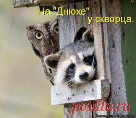хх