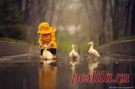 Rainy Day Orange by Jake Olson Studios / 500px