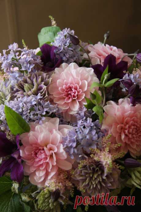 Георгины, Сирень и Ломонос