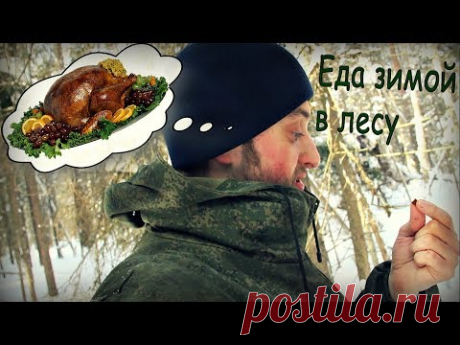 Что можно скушать зимой в лесу