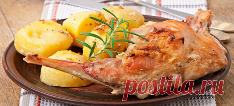 Как вкусно приготовить кролика - рецепты приготовления блюд и разделка мяса