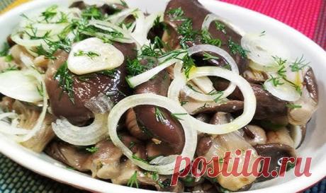 #Грибы вешенки. Рецепты соленых вешенок
- Вкусный способ ферментации вешенок
- Соленые вешенки аля Польский стиль
- Соленые вешенки холодным способом
- #Соленые_вешенки за сутки
- Соленые #вешенки пряные