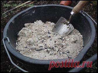 Советы бывалого огородника
•Марганцовка для морковки
Чтобы не привлечь морковную муху при прореживании моркови, нужно взять ведро воды и развести в нем 1 столовую ложку красного или черного молотого перца (хватит на 10 кв.м). Настаивать не нужно, лишь обрызгать морковь настоем перед прореживанием.
Если хотите получить урожай хорошей чистой моркови (без всякой гнили, заразы и т. д.) советую обязательно после второго прореживания в начале июля полить молодые растения водой (...