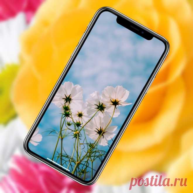 10 красивых женских обоев для iPhone