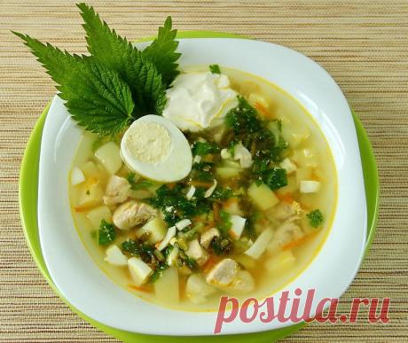 Как приготовить вкусный летний суп с крапивой и щавелем. Рецепт